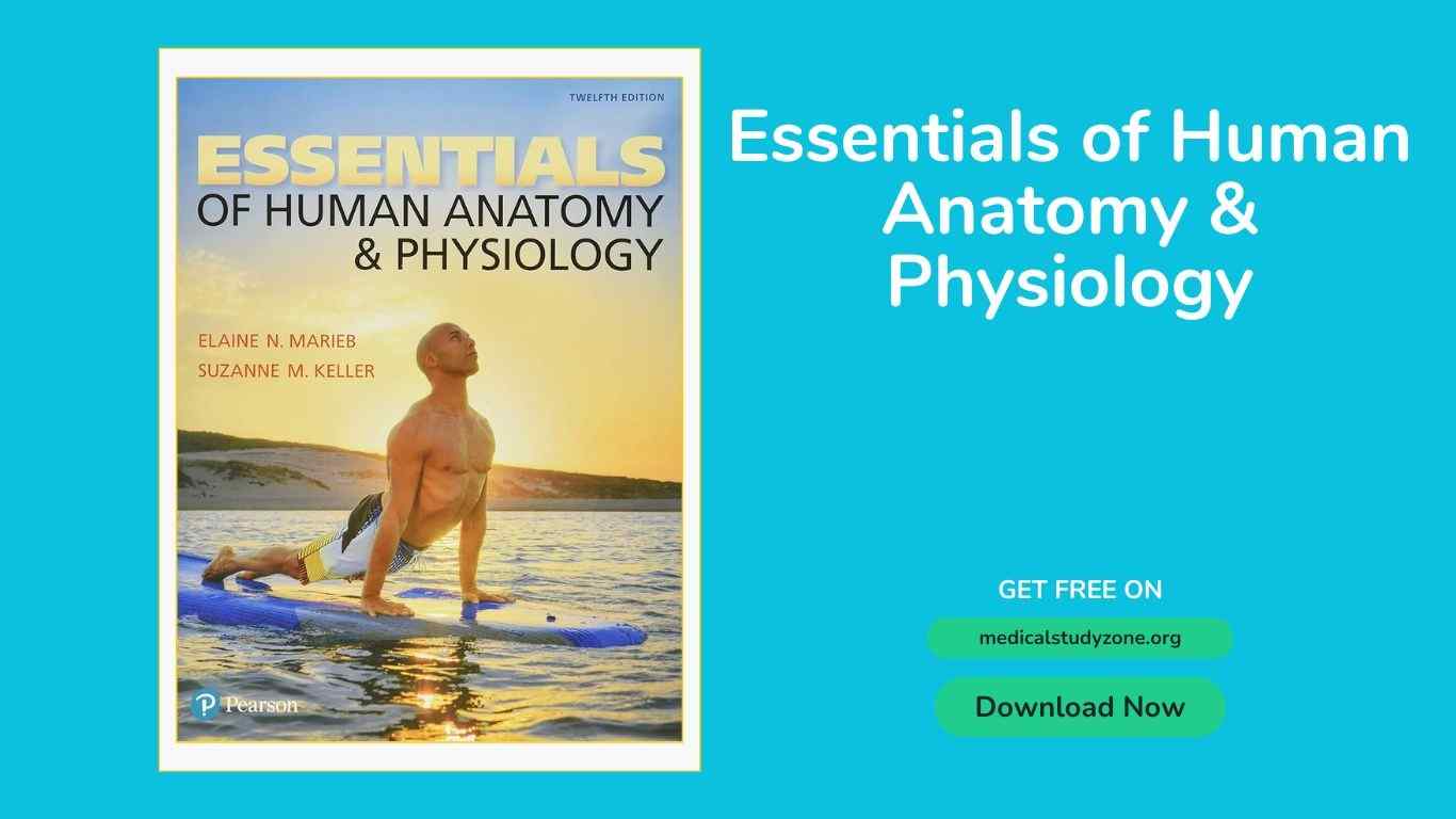 Essentials of Human Anatomy & Physiology
